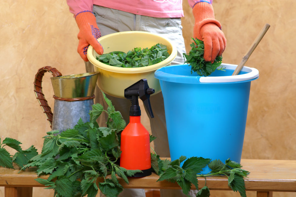 Des techniques simples pour jardiner bio.