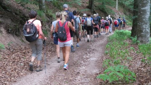 Marche populaire internationale : 3 distances proposées par le Club Vosgien à Bouzey