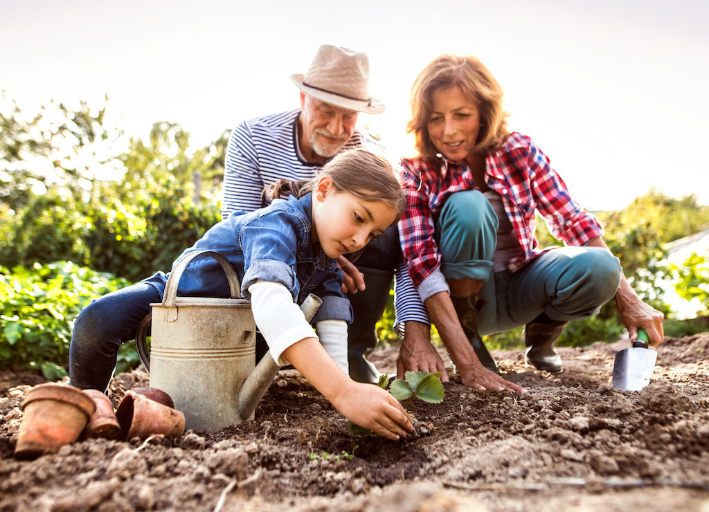 Six stages sont prévus pour initier les Vosgiens au jardinage.