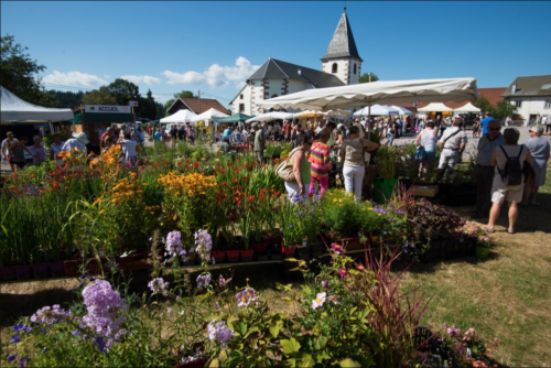 Le marché aux plantes du Haut-du-Tôt : une invitation au vert et pour tous !