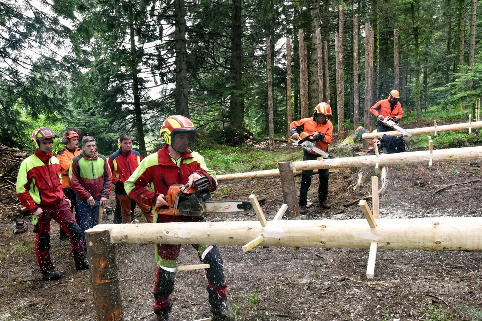 Fête forestière sur les métiers du bois, à (re)découvrir à Sapois.