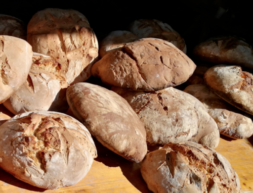 Fête du pain aux fruits : un voyage gourmand et riche de savoir-faire à Tendon