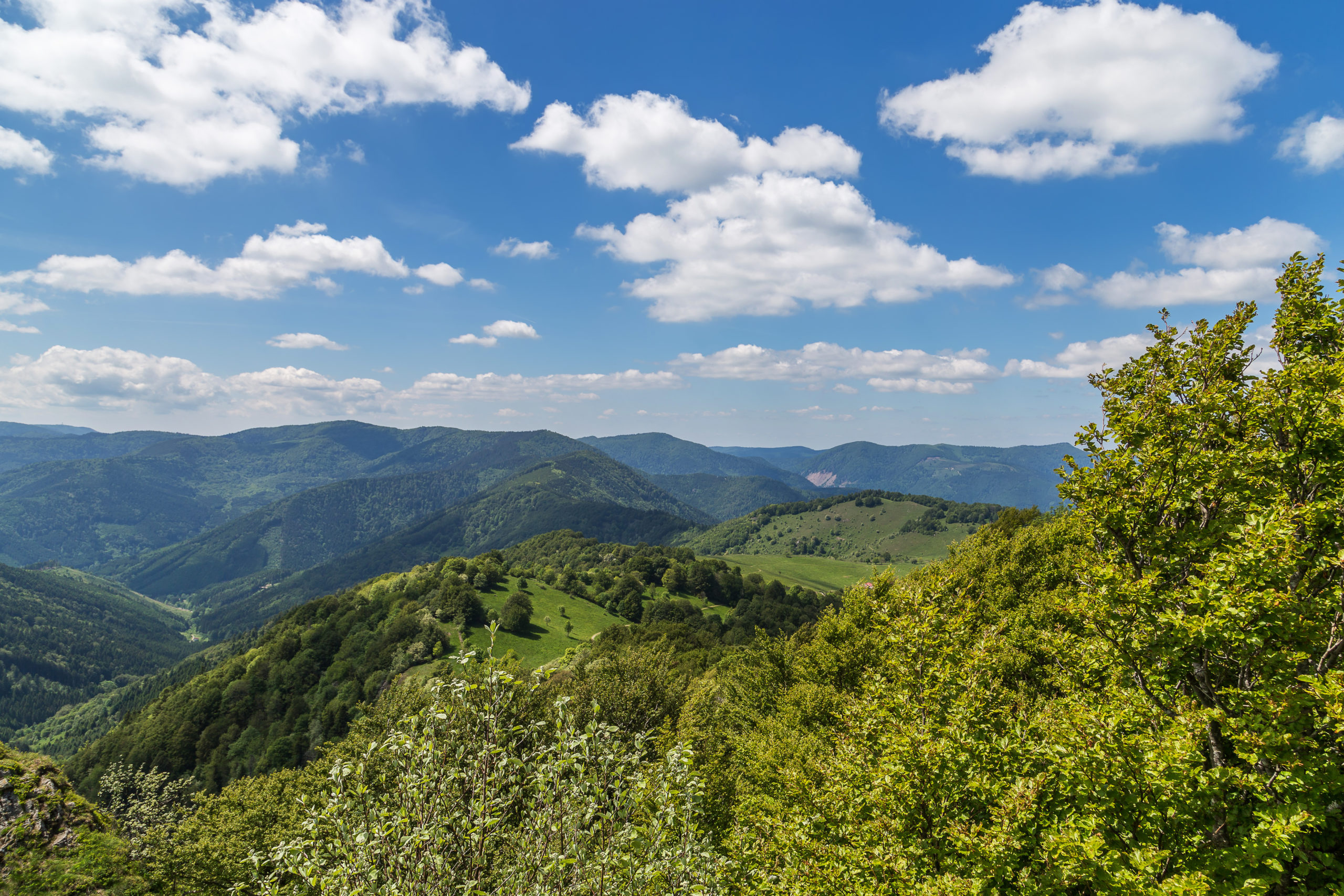 La Ligne Bleue des Vosges.