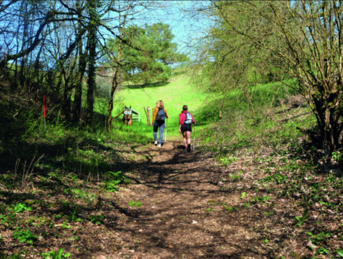 Rando nature : Journée festive pour les 150 ans du Club Vosgien à Soulosse-sous-Saint-Elophe