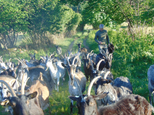 Fête du Lait Bio : partageons un moment convivial dans une ferme de Tendon !