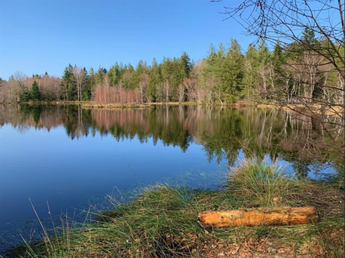 Fête de l'eau et de la rivière : Saint-Amé sensibilise sur la pérennité des écosystèmes