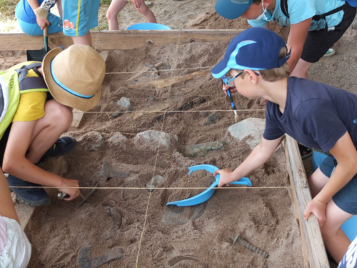 Journées Européennes de l'Archéologie : les Hautes-Mynes du Thillot lancent les fouilles