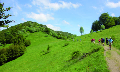 Traversée du Massif des Vosges : le GR®5 fête ses 125 ans !