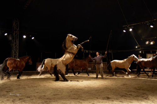 Sorties du week-end : Tour d’horizon des activités à faire dans les Vosges du 10 au 12 juin, en partenariat avec On se capte !