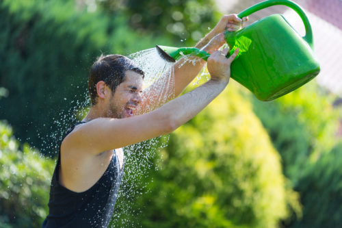 Alerte orange canicule : Météo France prévoit un record de chaleur dans les Vosges ce mardi