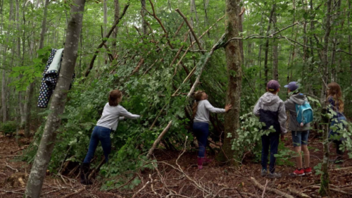 Journée de la forêt : l'écologie sort du bois à Thaon-les-Vosges