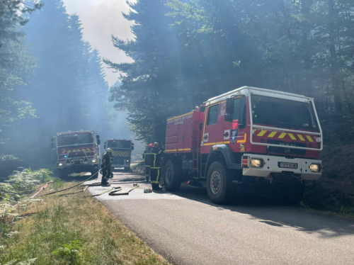 Feux de forêt : le préfet des Vosges orchestre un travail de prévention pour les années à venir