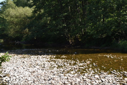 Sécheresse 2022 : le Préfet des Vosges place les cours d'eau Vosgiens en alerte renforcée