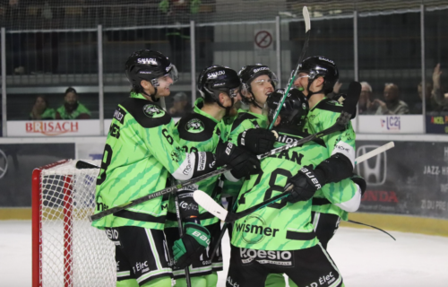 Coupe de France-8e de finale : les Wildcats d'Épinal accueilleront les Gothiques d'Amiens à Poissompré