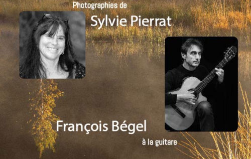 Concert visuel : balade musicale à La Bresse avec le guitariste François Bégel et la photographe Sylvie Pierrat