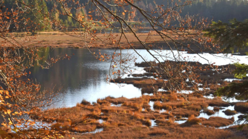 Vosges : appel à projet pour le Schéma d'Aménagement et de Gestion des Eaux de la nappe des Grès du Trias Inférieur