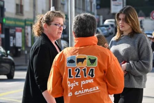 Veganuary : un rassemblement ce samedi pour inciter les Spinaliens à végétaliser leur alimentation