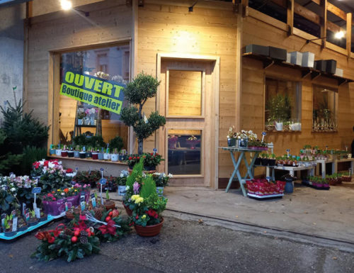 Store : Un nouveau point de vente à l’atelier-dépôt de la Comédie des Fleurs de Golbey