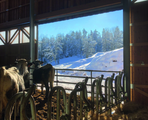 Quelques idées de collation pour repartir du bon pied en hiver