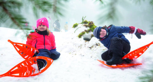 Sorties : En hiver faites le plein d'activités dans les Vosges !