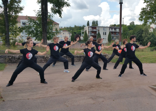 Stage national : Épinal devient la capitale du Taï-Chi pendant 5 jours !