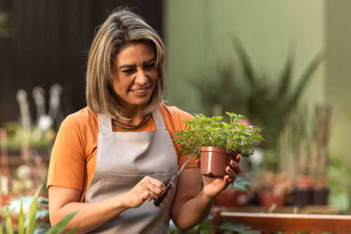 Troc graines : le bon plan malin pour son jardin à Remiremont