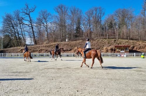 Equicoaching : une formation qui a de l’allure à Chantraine