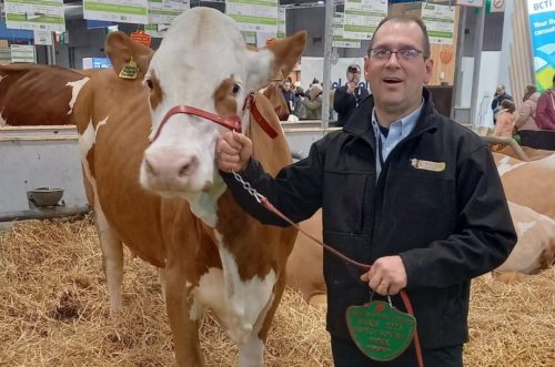 Salon de l'Agriculture : nouvelles récompenses pour les Vosgiens !