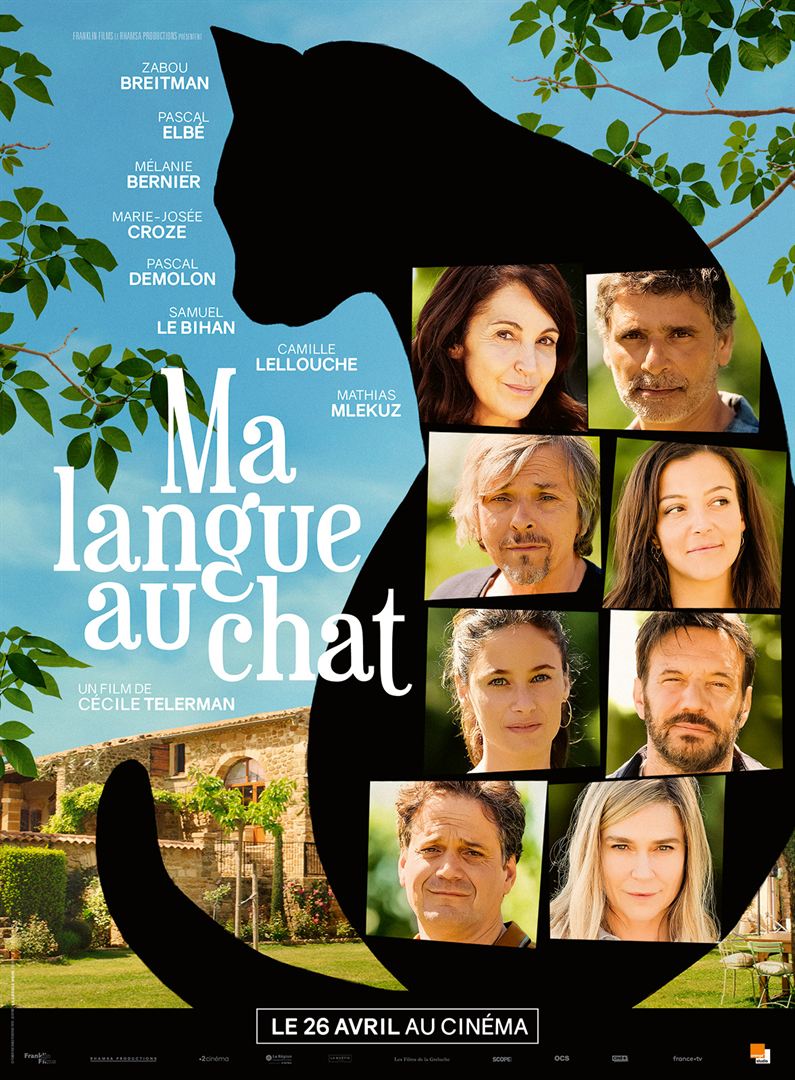 Affiche du film Ma langue au chat.