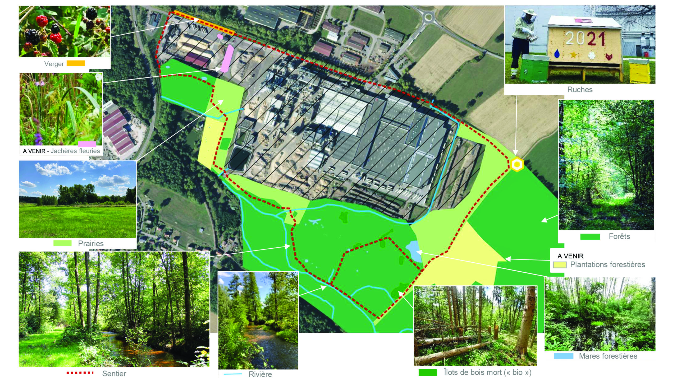 Plan du site Egger à Rambervillers.