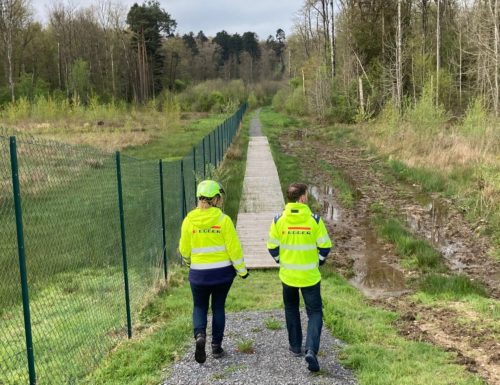 De l'arbre au produit : EGGER fait cohabiter l’Homme et la forêt à Rambervillers