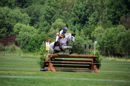 Un cavalier et son cheval lors d'un saut d'obstacle