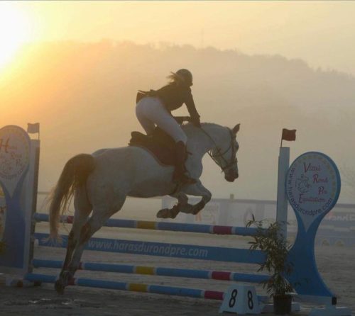 Poneys et cavaliers vont foulés le centre équestre de Vittel pour cette compétition