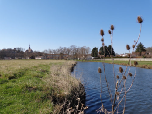 Sorties du week-end : Tour d’horizon des activités à faire dans les Vosges du 26 mai au 28 mai en partenariat avec On se capte !