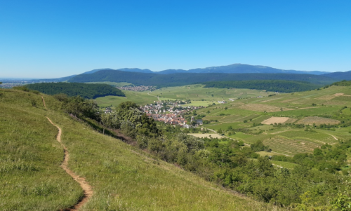 Journée des élus : l'adaptation au changement climatique en questions à Cornimont et Thiéfosse