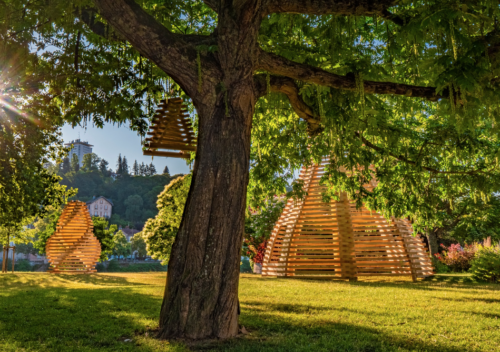 Maison Romaine : Deux expositions artistiques mettent en valeur son parc naturel à Épinal