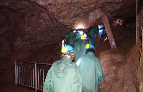 27e Nuit internationale de la chauve-souris : Immersion au coeur du biotope des Hautes-Mynes du Thillot