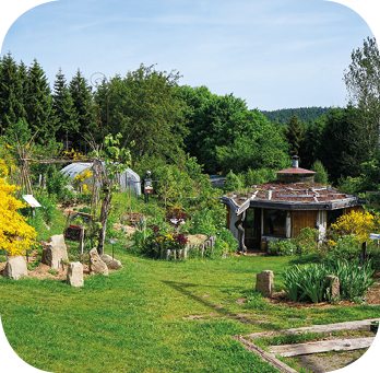 Jardin Une figue dans le poirier au Val-d'Ajol.