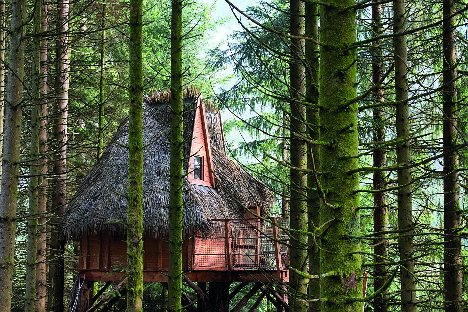 Les cabanes dans les arbres de Bol d'Air. 