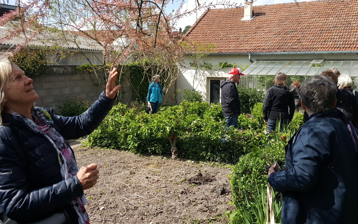 Papote au potager de They-sous-Monfort.