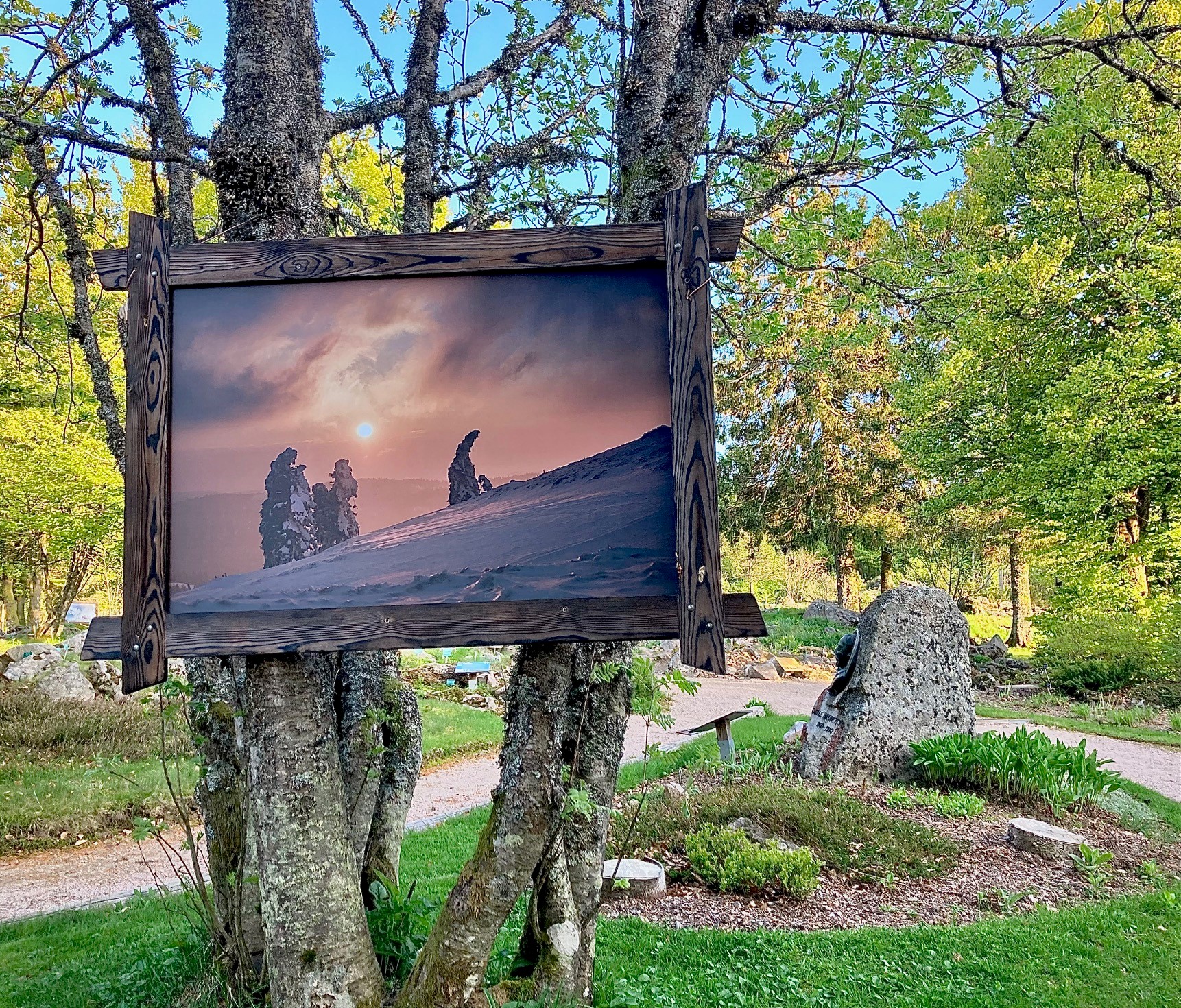 Exposition photos de Vincent Ganaye au Jardin d'altitude du Haut-Chitelet.