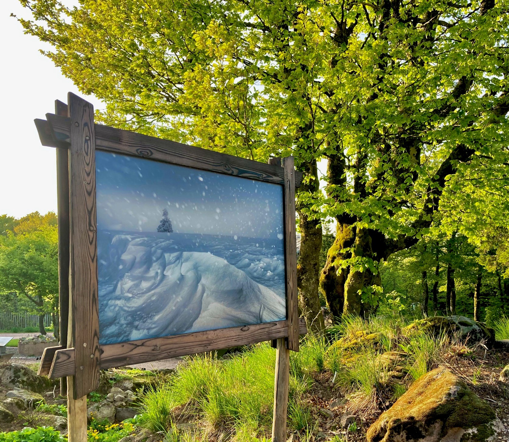 Exposition photos de Vincent Ganaye au Jardin d'altitude du Haut-Chitelet.