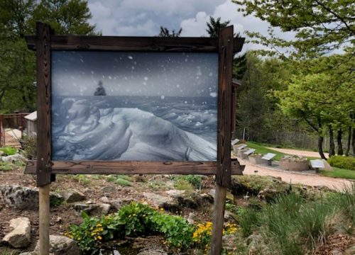 Brumes : l'expo photos en plein air à découvrir au Jardin d’altitude du Haut Chitelet à Xonrupt-Longemer