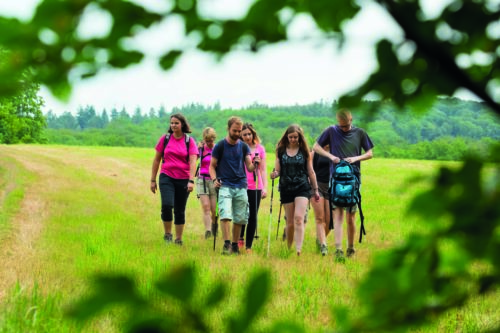 Épinal Tourisme : les grands rendez-vous immanquables de l'été dans l'agglomération spinalienne