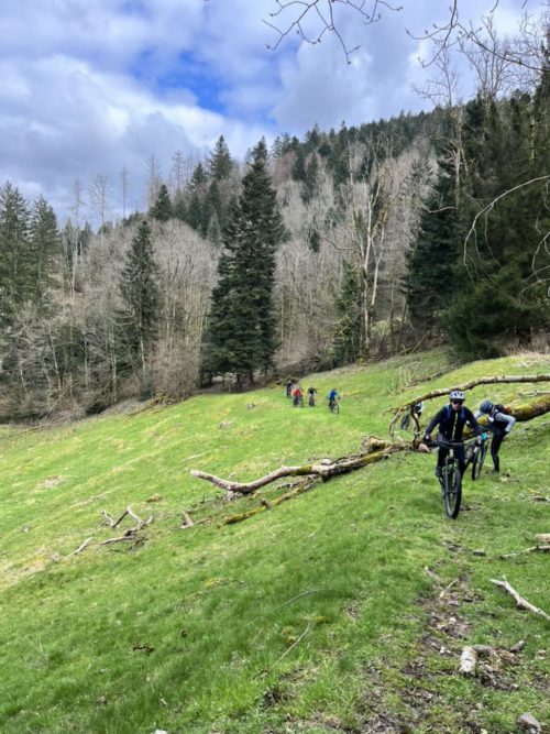 Des coureurs VTT lors de la première édition de la Podante, dans les bois de Saulxures-sur-Moselotte