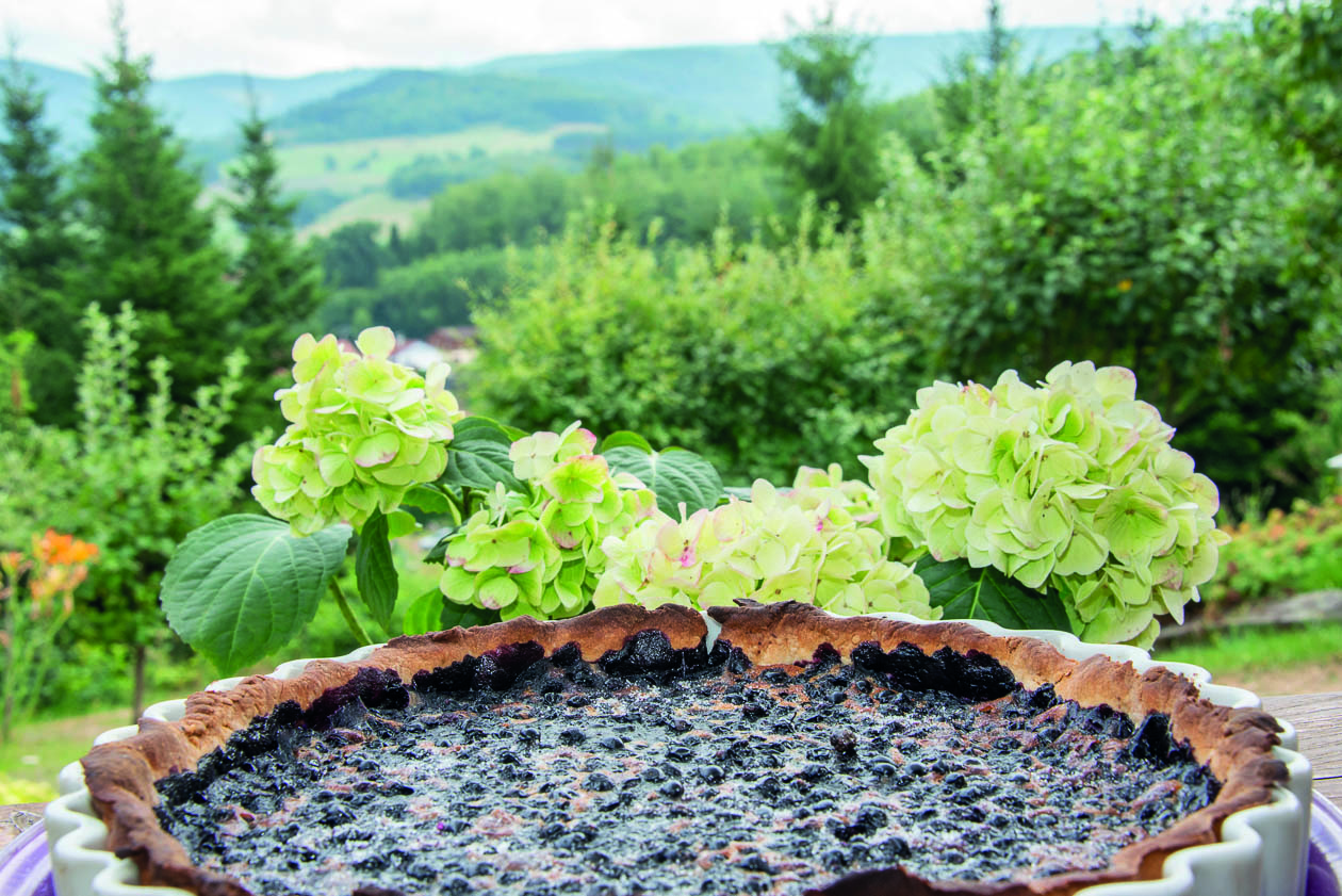 Tarte à la brinbelles sur paysage vosgien.