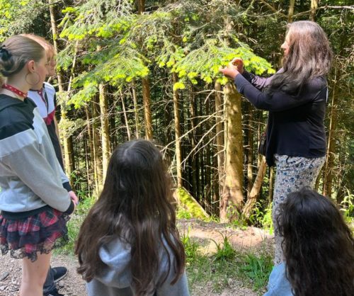 Les Estivales du Chitelet : des animations sur le thème de la nature durant tout l'été au col de la Schlucht