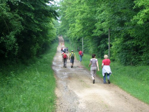 Corcieux : faites chauffer les bâtons pour la 32e marche populaire internationale !