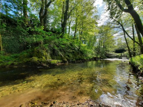 Les pluies de juillet dans les Vosges ont rechargé les nappes phréatiques et font ainsi reculer la sécheresse