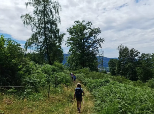 Retour des beaux jours : Rodez dans tous les sens avec cette balade guidée au Col de la Schlucht